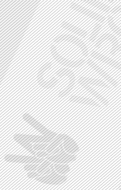 Solidarny Wrocław - website