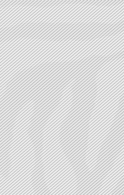 flayer - Australian ZOO